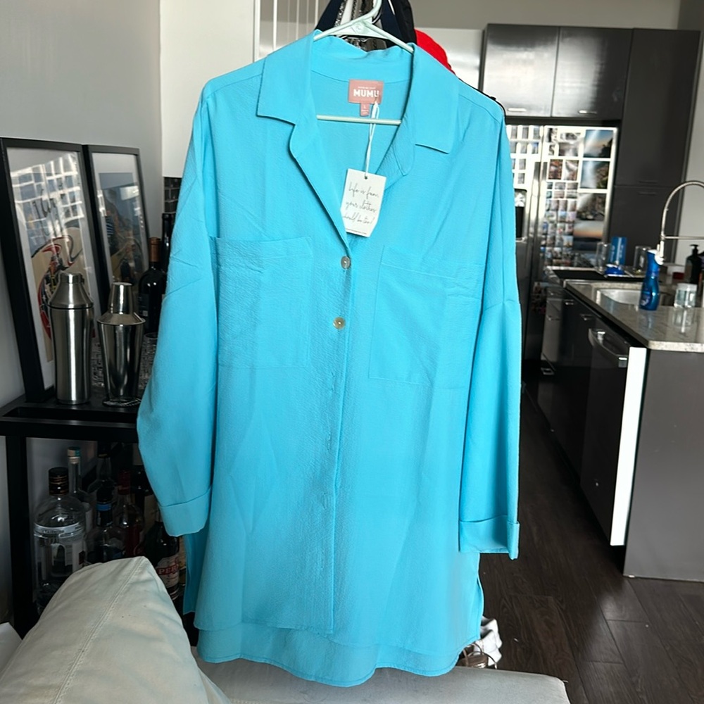 Show Me Your Mumu John’s button down in sea blue